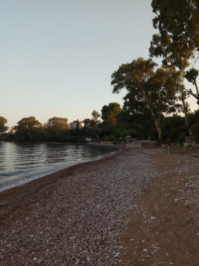 Apartmán Petalidi Fragkos Exteriér fotografie